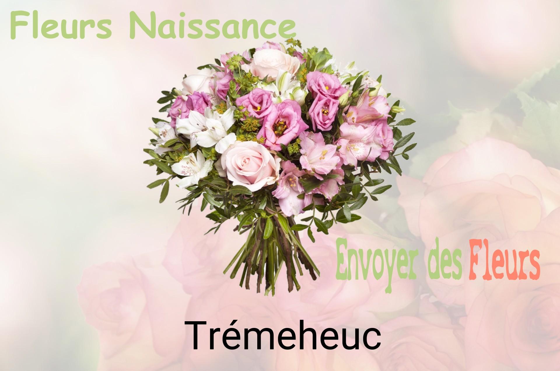 Bouquet de fleurs de naissance livré à Trémeheuc