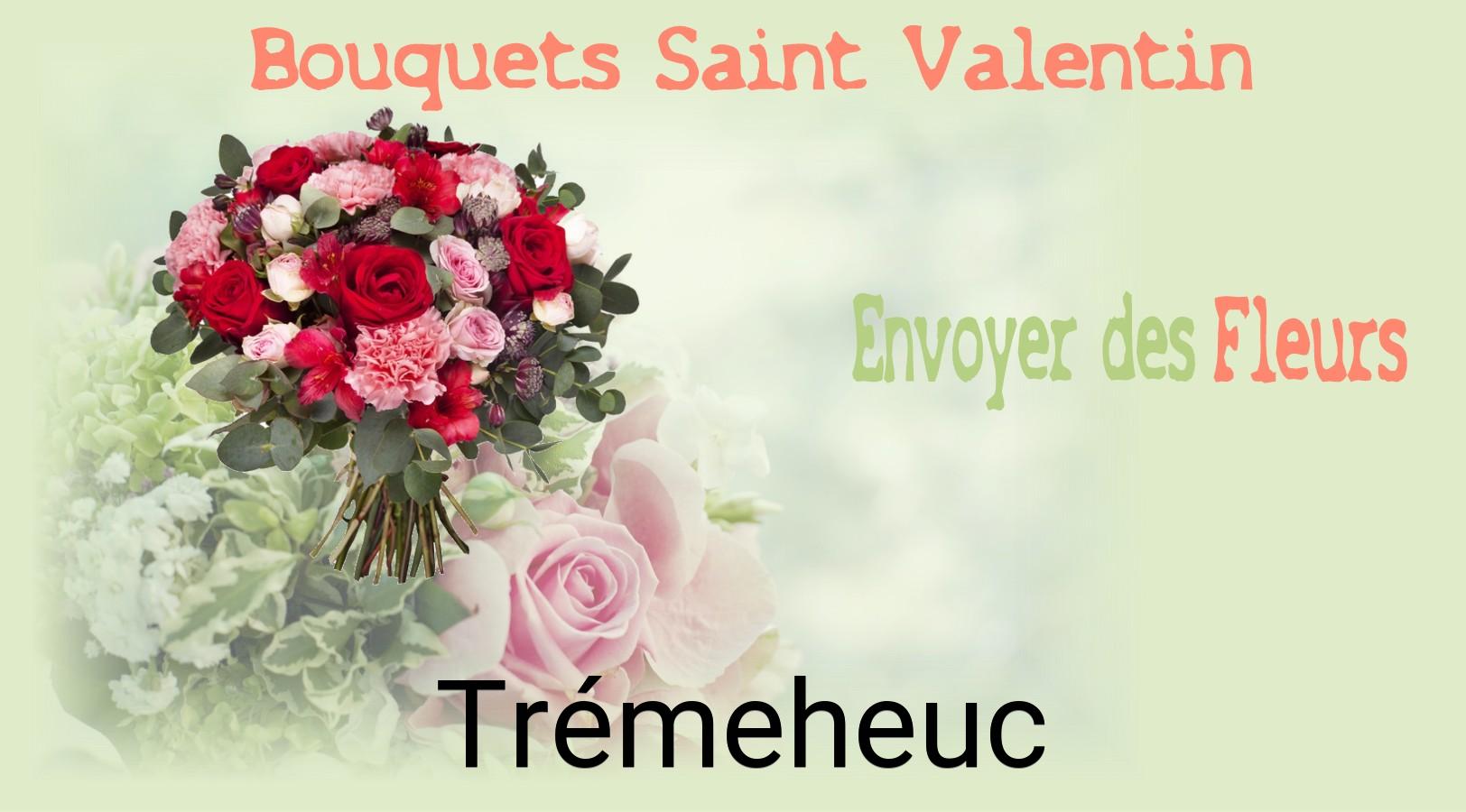 Roses de Saint-Valentin livrées à Trémeheuc